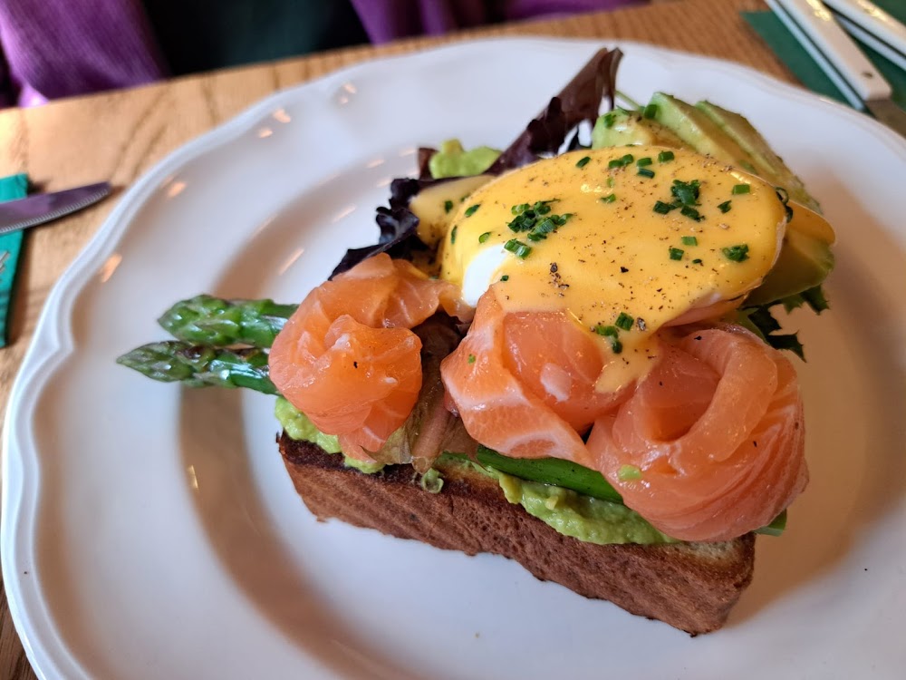 Salmon